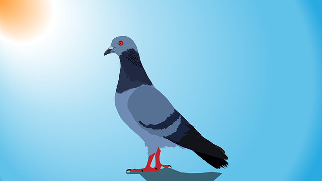 <strong>Taking Control: Tips for Developing a Successful Pigeon Management Strategy</strong>