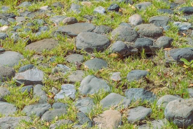 Herbicide