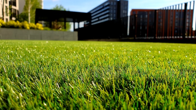Choosing the Perfect Turf Variety