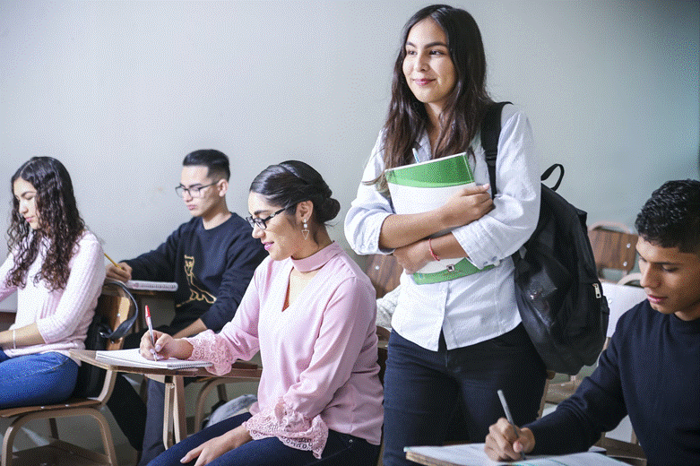 Learning Environment