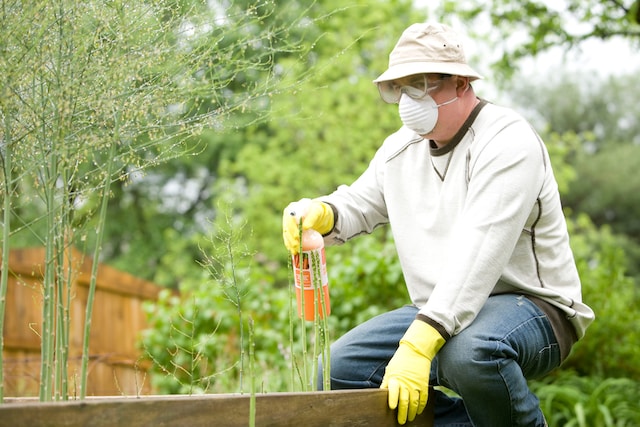 Pest-Free Environment