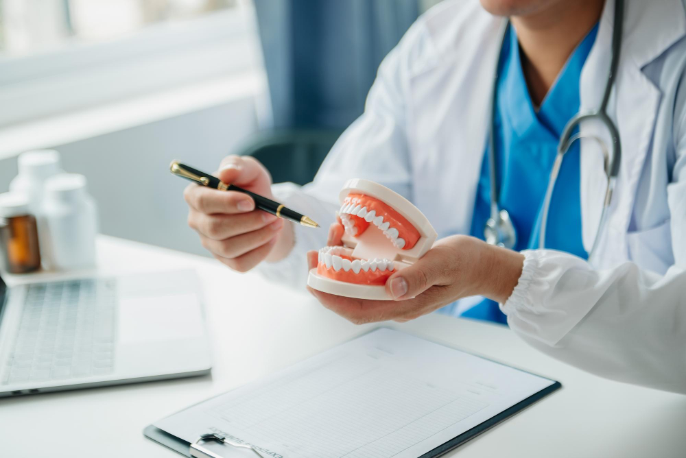 Dentist sitting at table with jaw samples tooth model