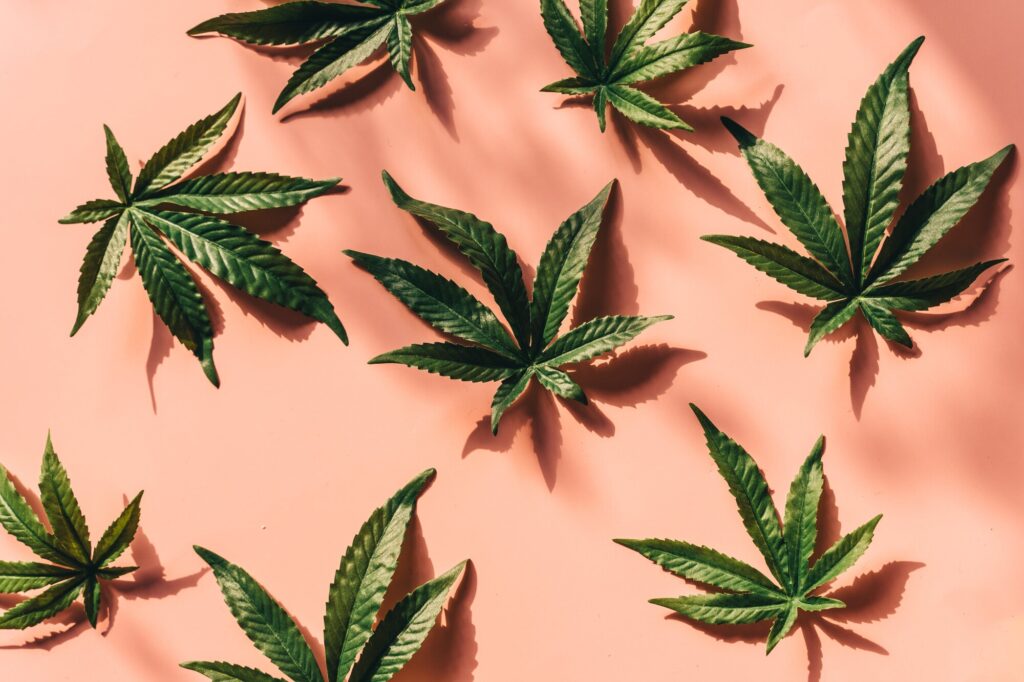 Premium Cannabis