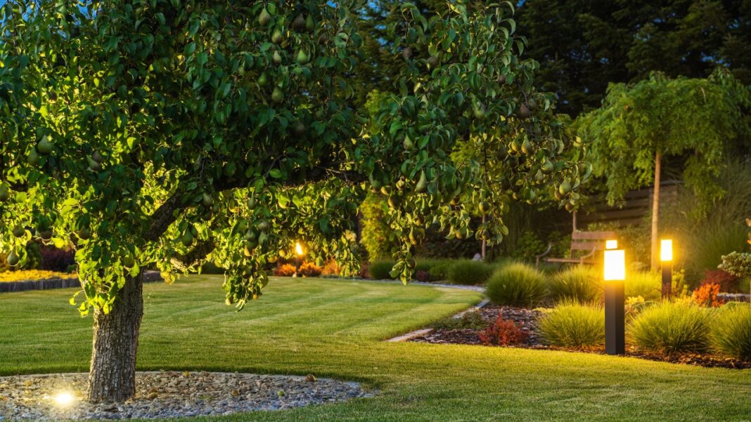Outdoor Lighting