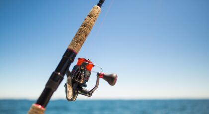 FISHING REELS
