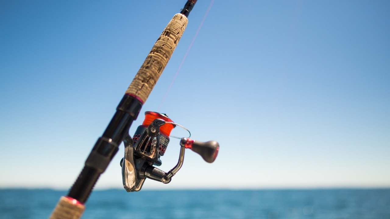 FISHING REELS